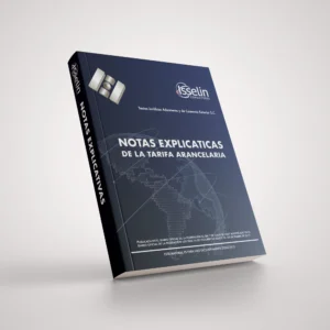 NOTAS  EXPLICATIVAS
